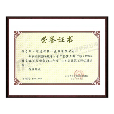越秀星匯金沙三期--2017年度山東省建筑工程優(yōu)質(zhì)結構